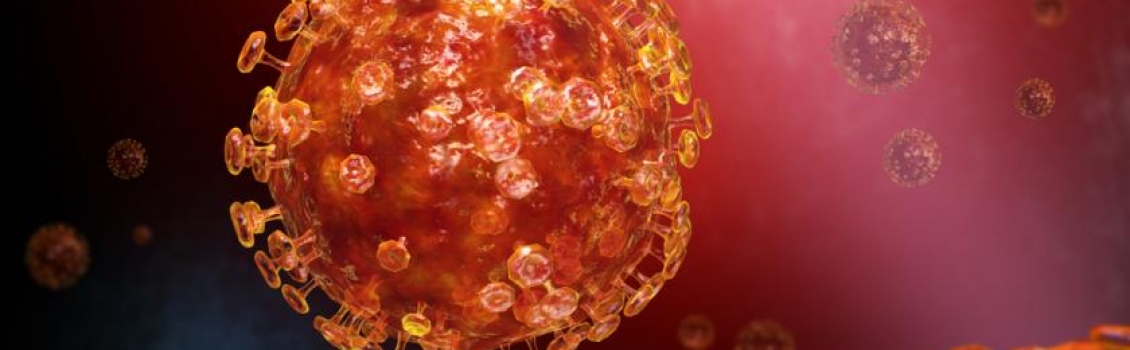 Primo caso di coronavirus in Africa. Sei medici morti a Wuhan. Niccolò torna in Italia