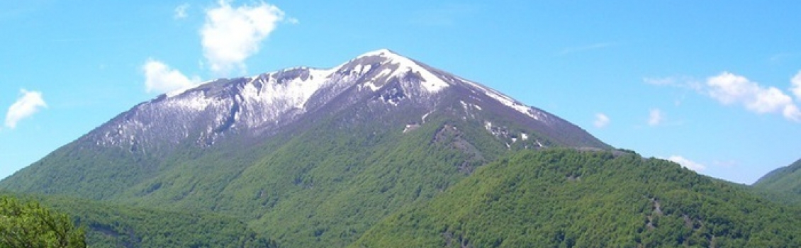 Pollino, è crisi per almeno 800 aziende