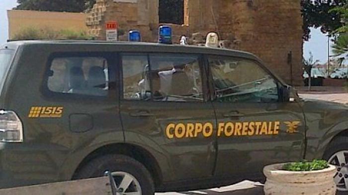 Covid-19:controlli Forestale in campagne